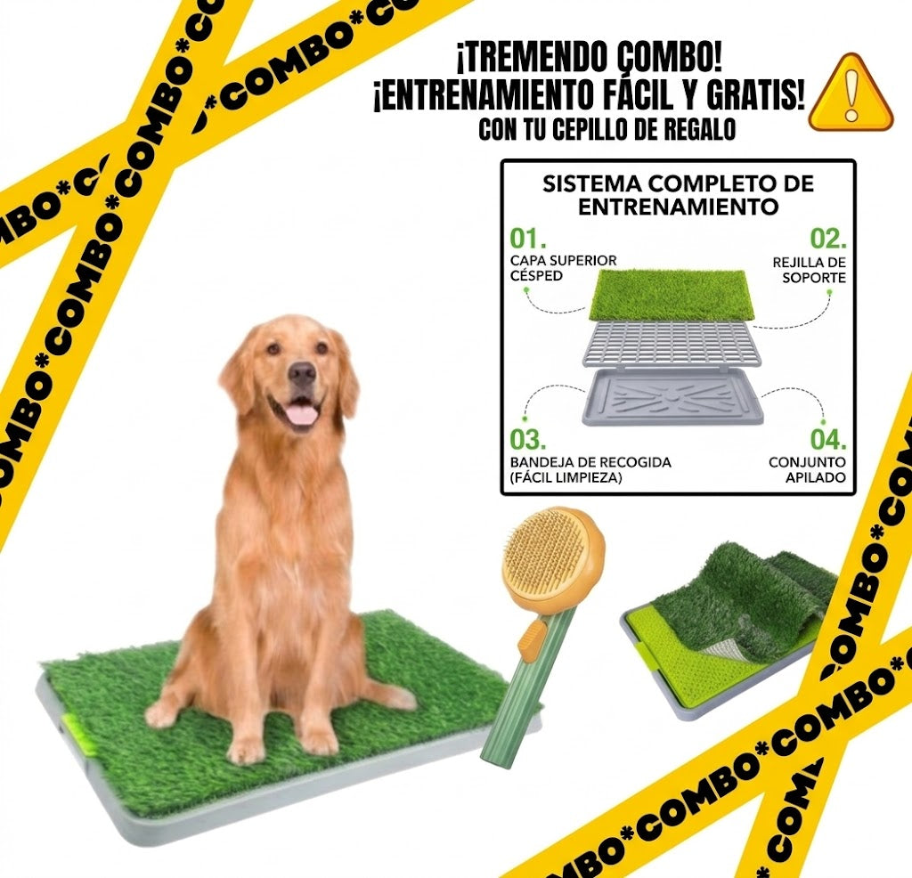 "¡TREMENDO COMBO! Tapete Sanitario + Cepillo Masajeador GRATIS"